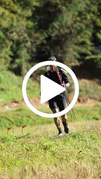 BIB:  <button type="button" onclick="openModal(26565635)" class="btn btn-primary btn-sm float-right" data-toggle="modal" data-target=".modal-high-quality">
                <i class="fa fa-download"></i> Download
                </button>